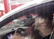 起亚在中国的2023：疾如风 徐如林