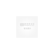 重组汽车业务、拿定点、建基地，博世忙不停 | 2023大事记