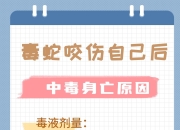 剧痛！别碰！别揉！近期这种毒虫频现，有人一不小心就中招了！