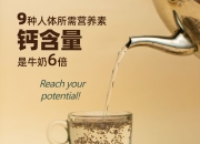 Seeds | 车载高精度惯导研发商戴世智能完成数千万元A+轮融资