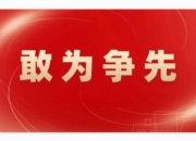 政策放宽，金融机构可自主确定自用车辆贷款比例