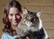 都想成为“雷布斯”，但“卷王”的世界谁可匹敌？