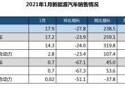 关税大幅上调前，巴西进口中国电动汽车数量激增