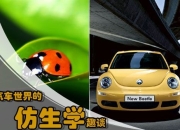 巴西研究人员开发计算机视觉模型 可检测道路上的野生动物并避免交通事故