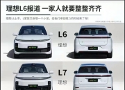 37.5%的受访者选择购买理想L6 外观好看是主因