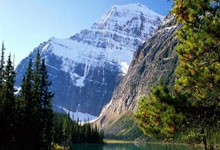 欧拉5上线，魏建军反对“大忽悠”