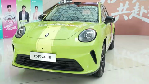 欧拉5上线，魏建军反对“大忽悠”