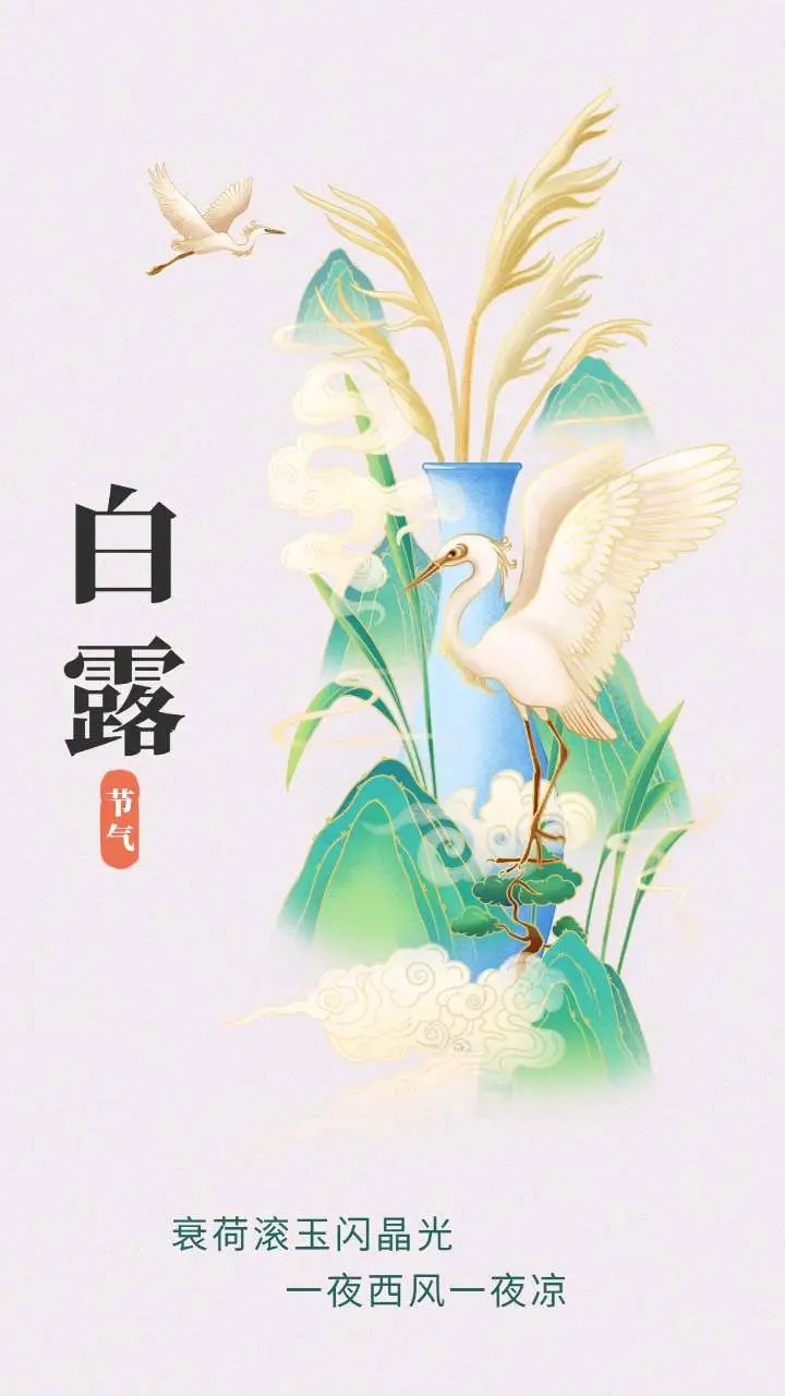 节气物候图鉴：白露至凉意生 全国玉露生凉地图看哪里率先迎秋凉